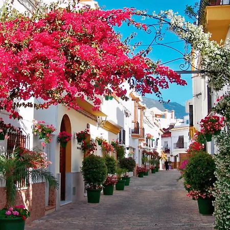 Kampaoh Estepona